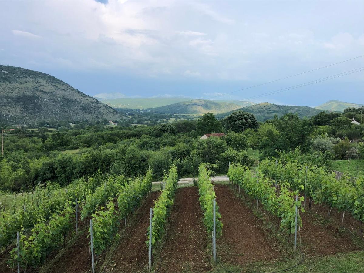 Green Silence - Iva Danilovgrad Kültér fotó