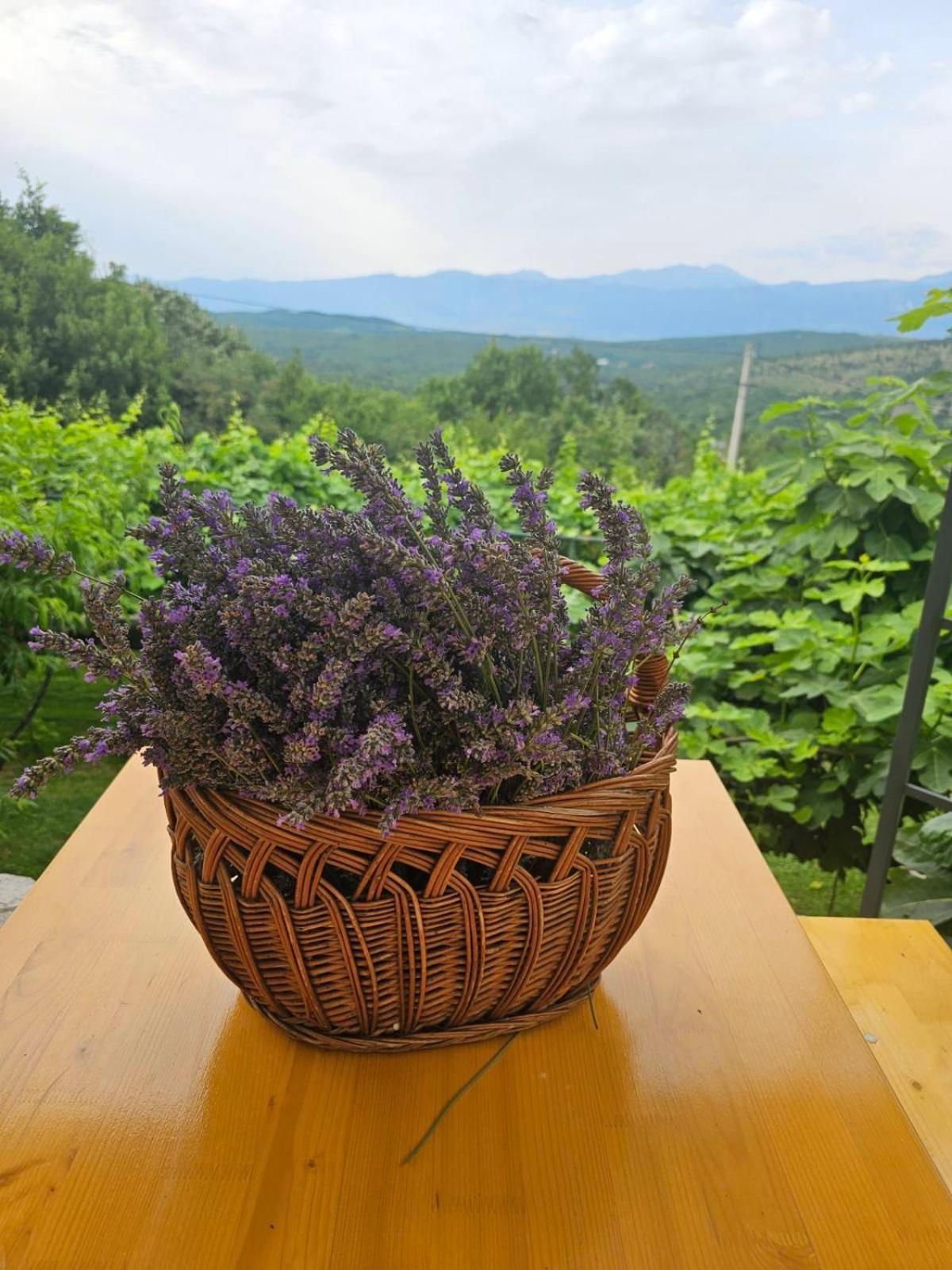 Green Silence - Iva Danilovgrad Kültér fotó